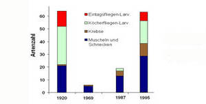 Artenspektrum am Niederrhein: früher und heute