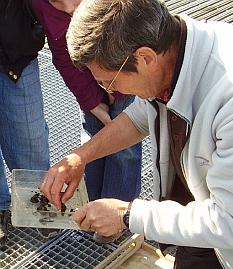 Zoologe Armin Kureck bei einer Führung auf der Ökologischen Rheinstation
